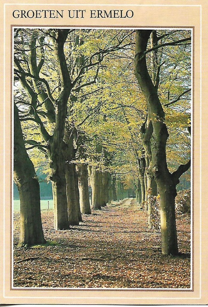 Ermelo- -Beukenlaan., Verzenden, 1980 tot heden, Gelopen, Gelderland
