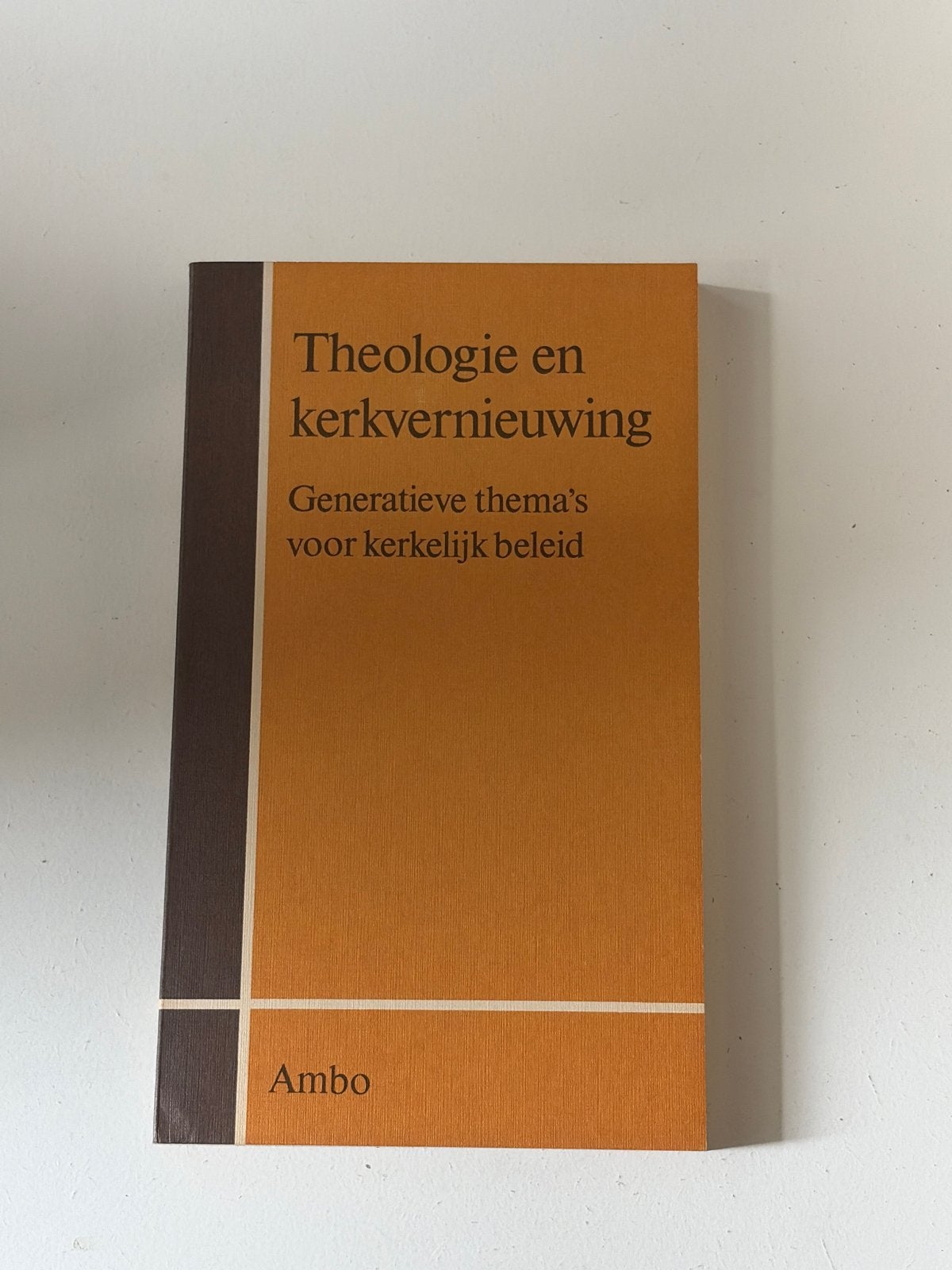 Theologie en kerkvernieuwing - Ambo, Ophalen of Verzenden, Gelezen, Christendom | Katholiek