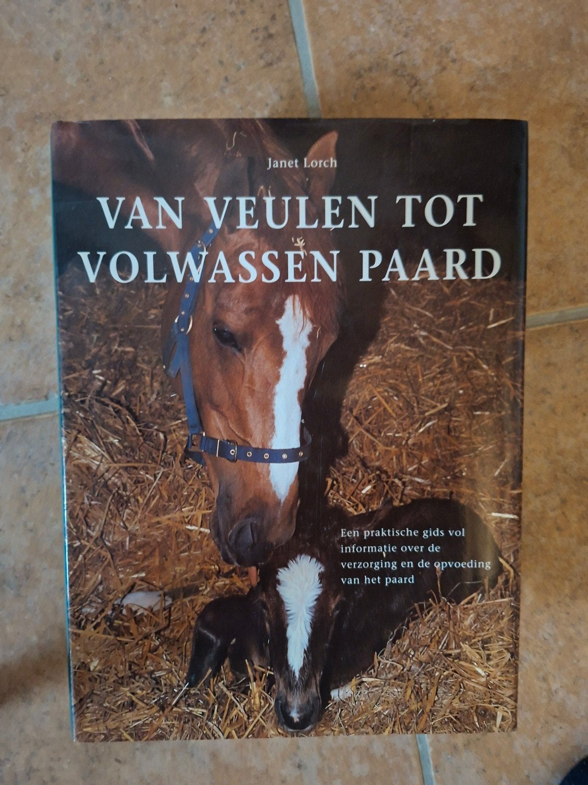 Boek: van veulen tot volwassen paard, Boeken, Ophalen of Verzenden
