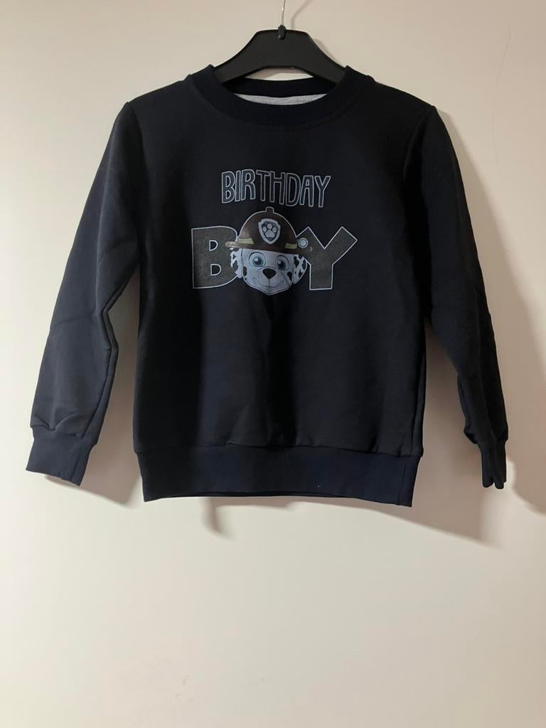 Nieuw trui paw patrol maat 110/116, Ophalen of Verzenden, Nieuw, Jongen, Trui of Vest