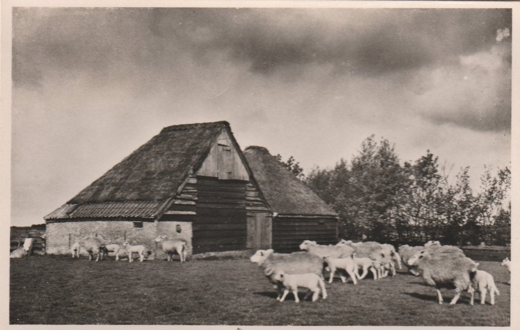 Texel, Ophalen of Verzenden, 1940 tot 1960, Gelopen, Waddeneilanden