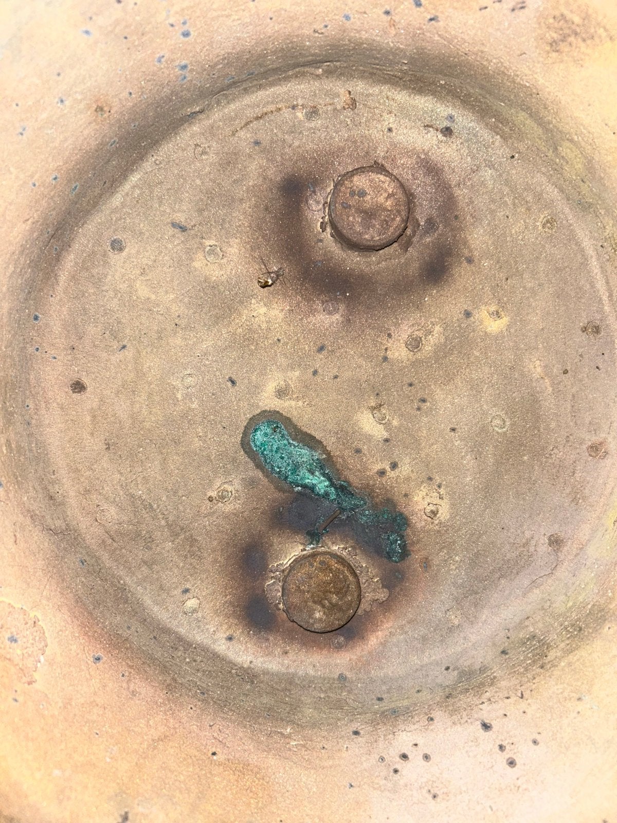 Indrukwekkend zwaar bronzen paardenbeeld met patina, Antiek en Kunst, Kunst | Beelden en Houtsnijwerken, Ophalen, 50 - 100 cm