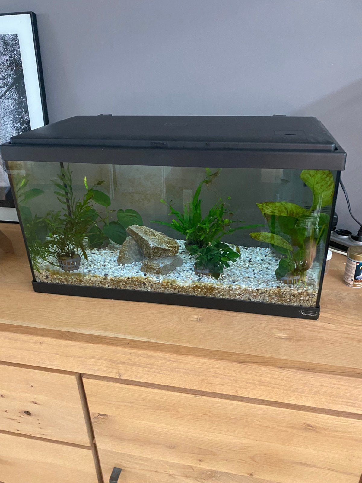 Starters Aquarium 60x30x34 58 liter compleer, Ophalen, Inclusief toebehoren, Zo goed als nieuw, Leeg aquarium