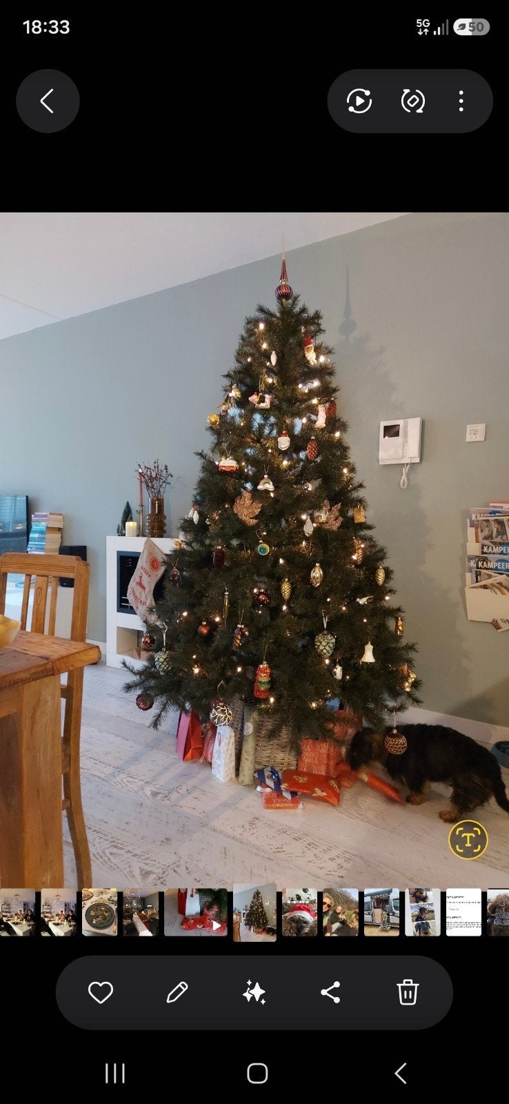 Kunstkerstboom van de Intratuin, Ophalen