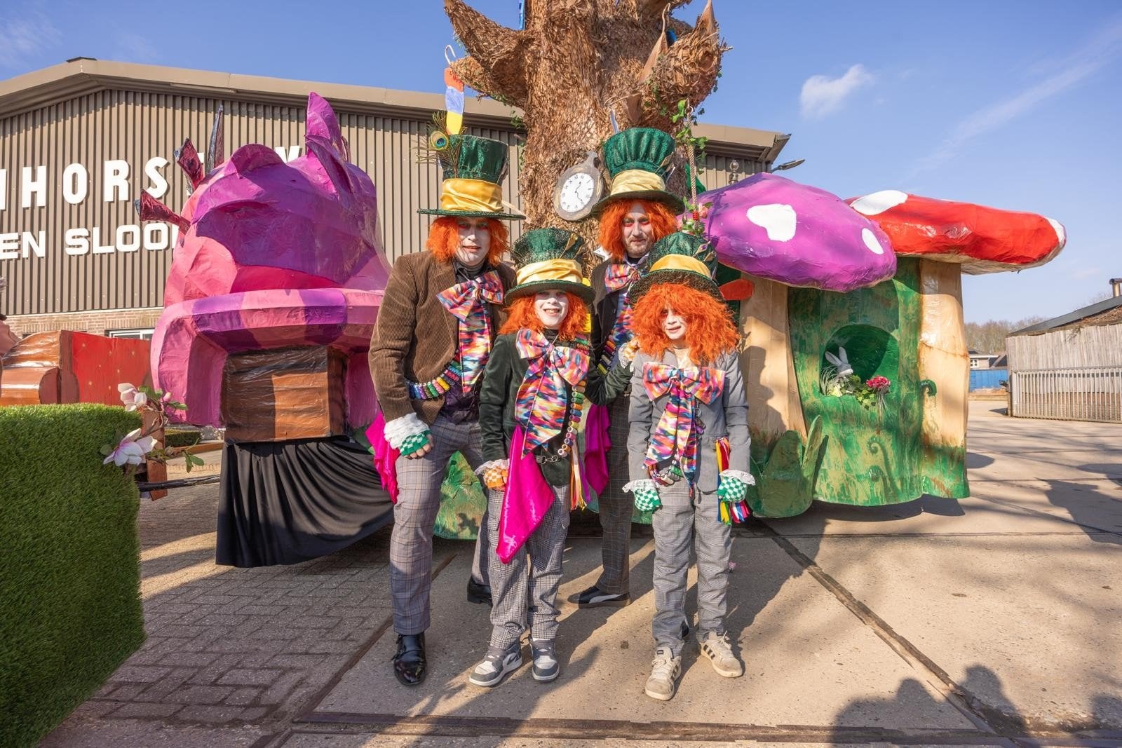 Carnavals/ musical kleding: Alice in Wonderland thema. loop, Kinderen en Baby's, Carnavalskleding en Verkleedspullen, Ophalen of Verzenden
