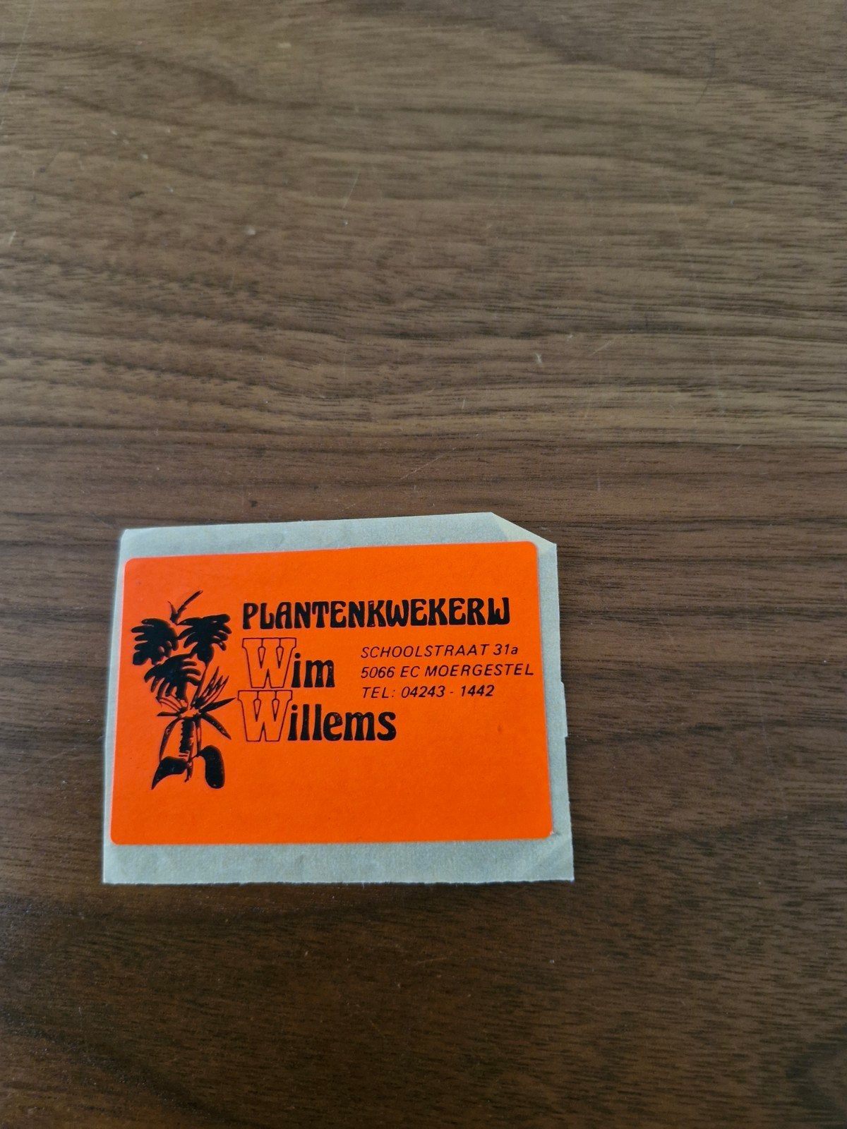 12005 Vintage Sticker Plantenkwekerij Wim Willems Moergestel, Ophalen of Verzenden, Zo goed als nieuw, Bedrijf of Vereniging
