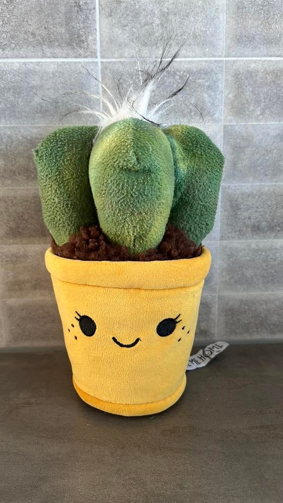 Cactus lant knuffel 22 cm hoog take me home nieuw, Ophalen of Verzenden, Zo goed als nieuw, Haken, Wol of Garen