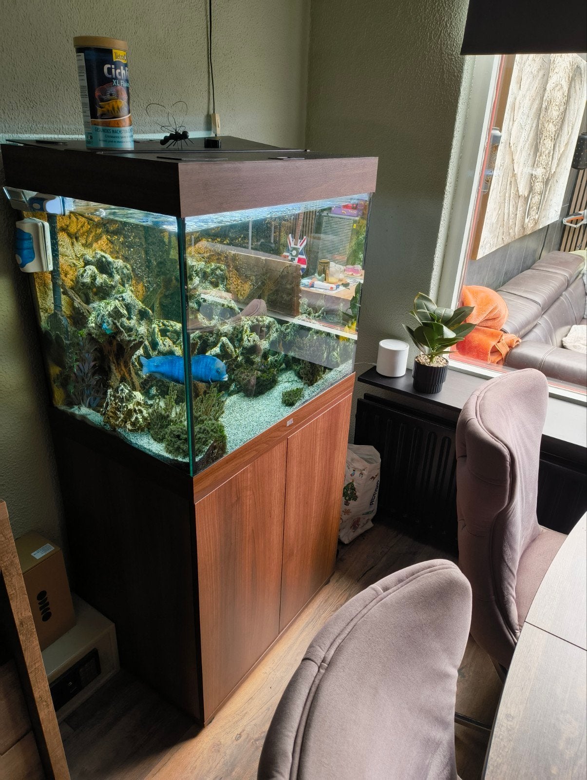 Juwel lidl 200 compleet, Ophalen, Zo goed als nieuw, Gevuld zoetwateraquarium