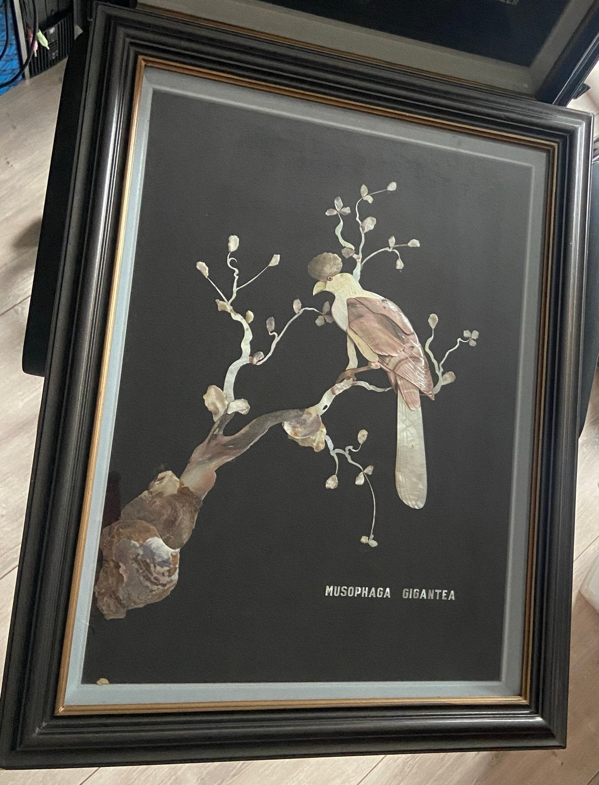 Aziatische schelpkunst: Musophaga Gigantea vogel, Ophalen, Wanddecoratie, Natuurlijk materiaal, Handgemaakt
