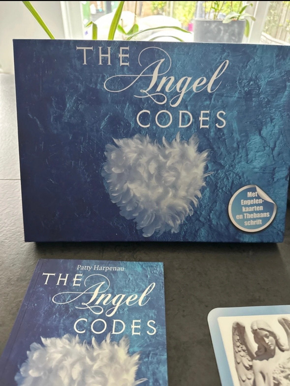 The Angel Codes - Patty Harpenau (2e druk), Boeken, Spiritualiteit algemeen, Overige typen, Ophalen of Verzenden, Zo goed als nieuw