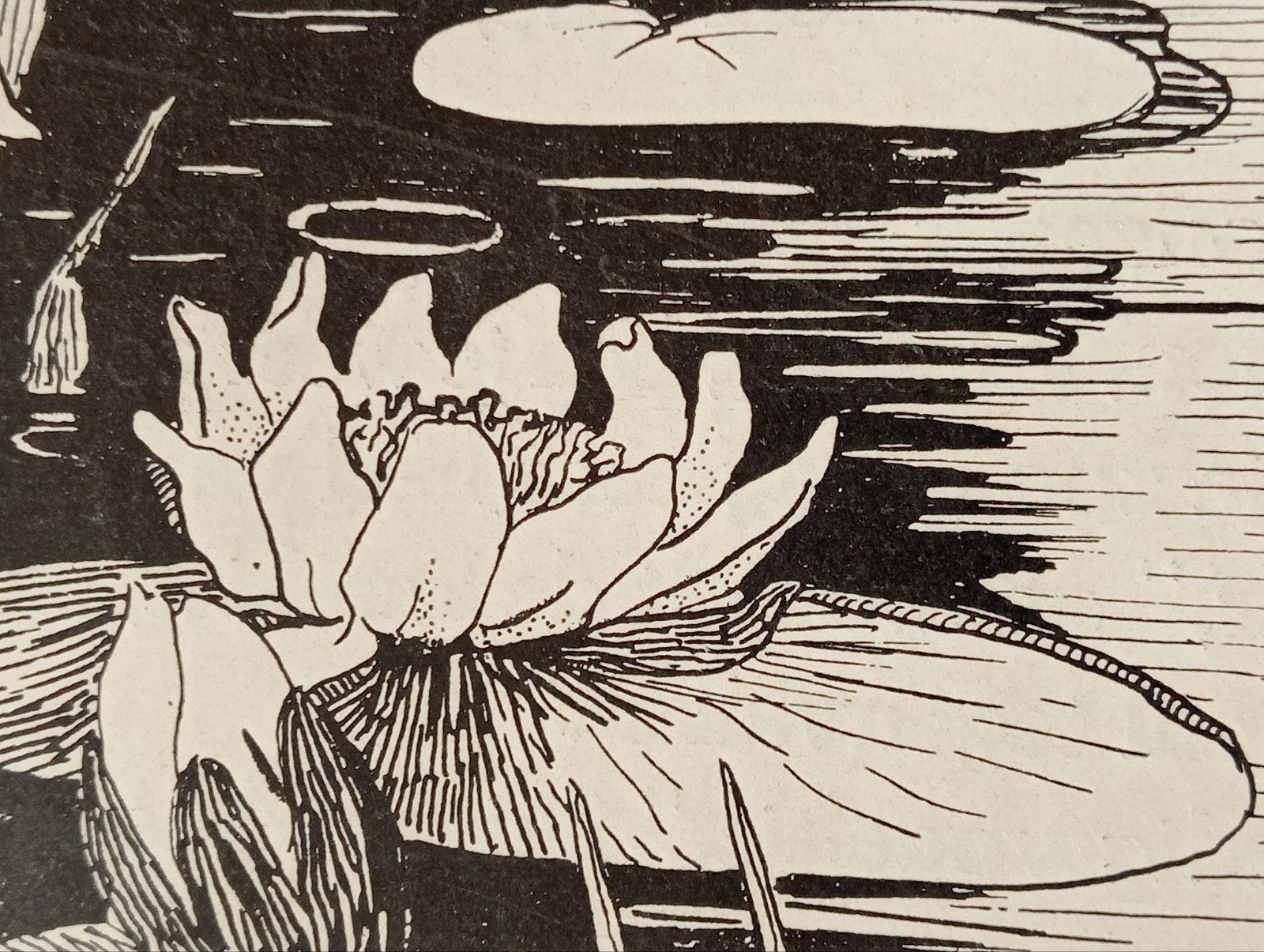 Ella Nieuwenhuis Boek Illustratie jaren 1910-30 Art Nouveau, Antiek en Kunst, Ophalen of Verzenden