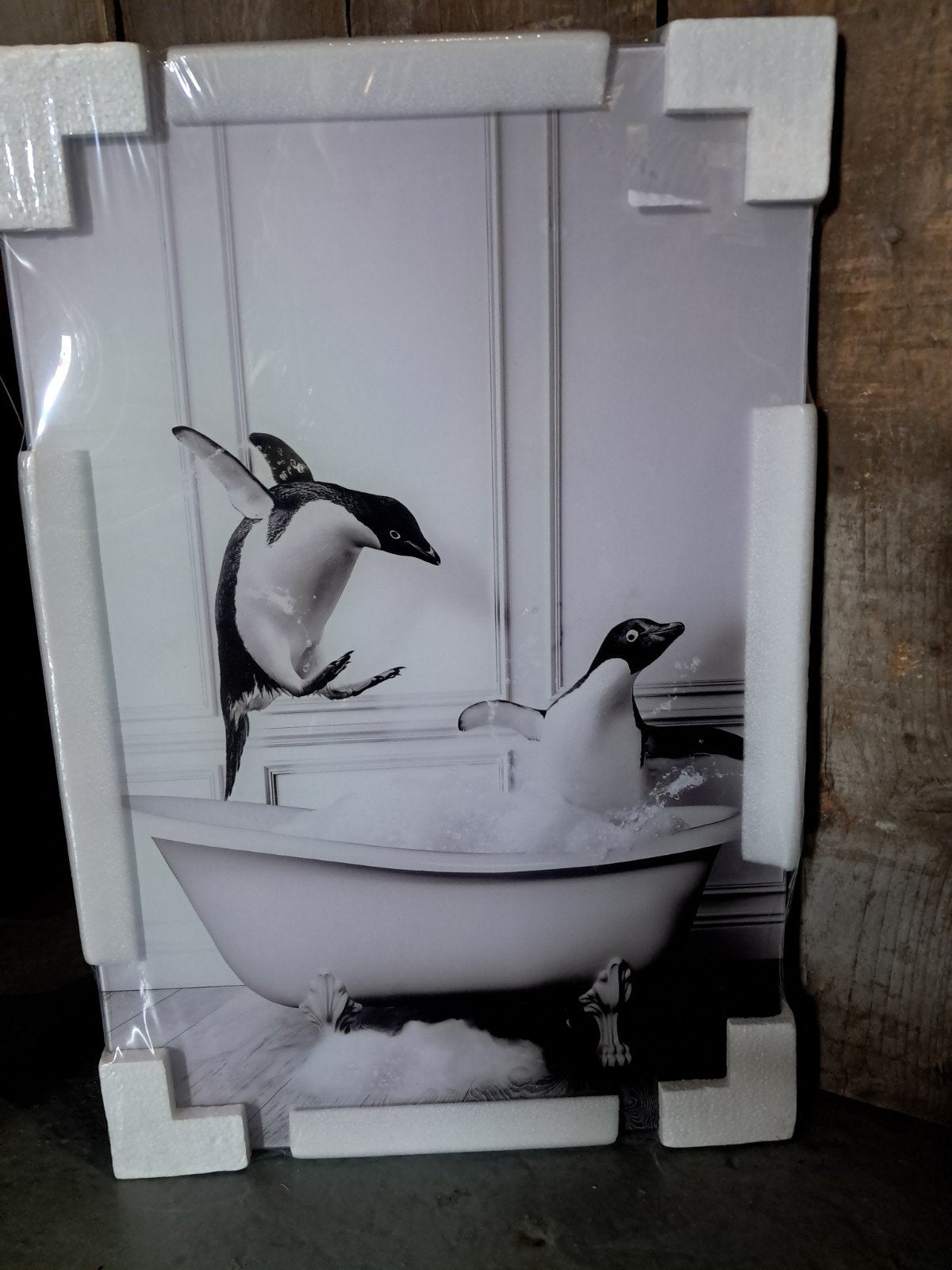 Glasschilderij Pinguïns NU €2,50 P.S., Ophalen, 40 cm, 60 cm, Nieuw