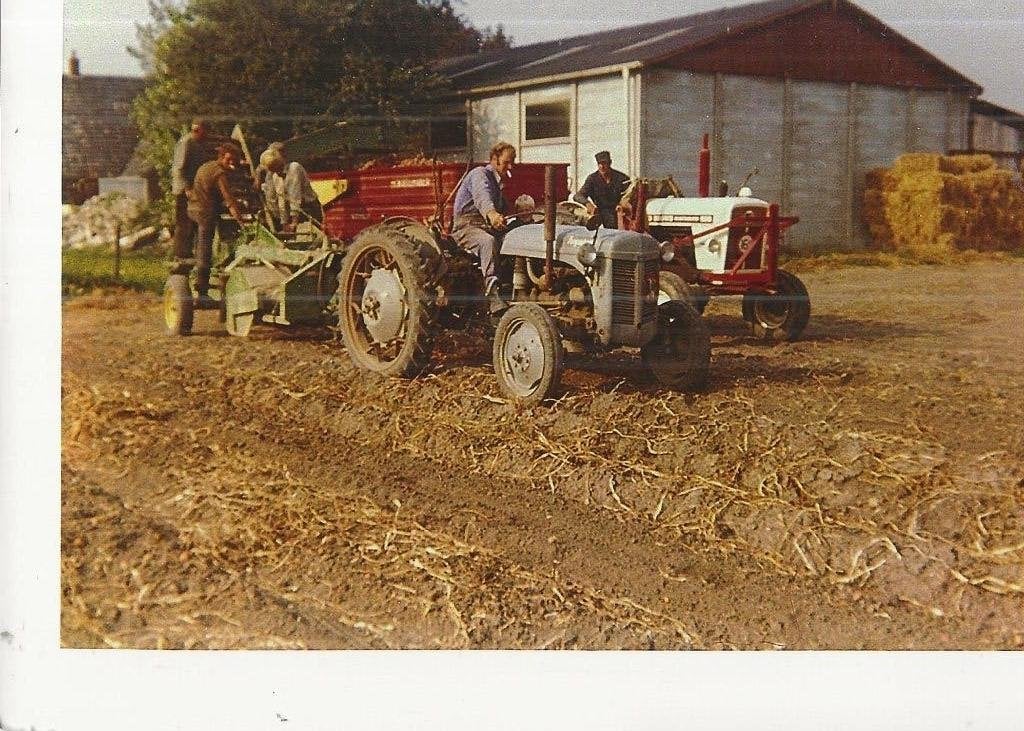 Honselersdijk Middelbroekweg Boerderij Zonneveld Foto, Verzamelen, Ophalen of Verzenden, Ongelopen, Zuid-Holland