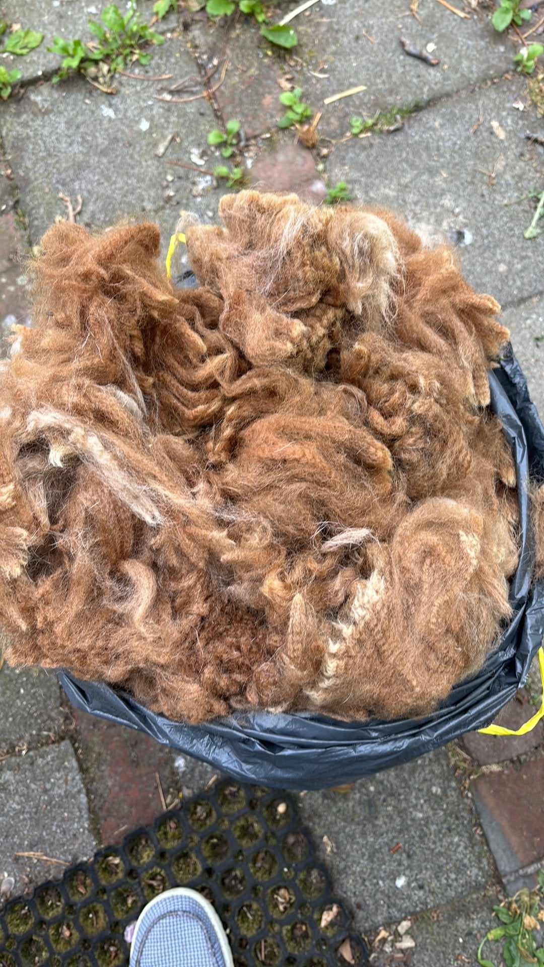 Alpaca wol, Ophalen of Verzenden, Zo goed als nieuw, Spinwol