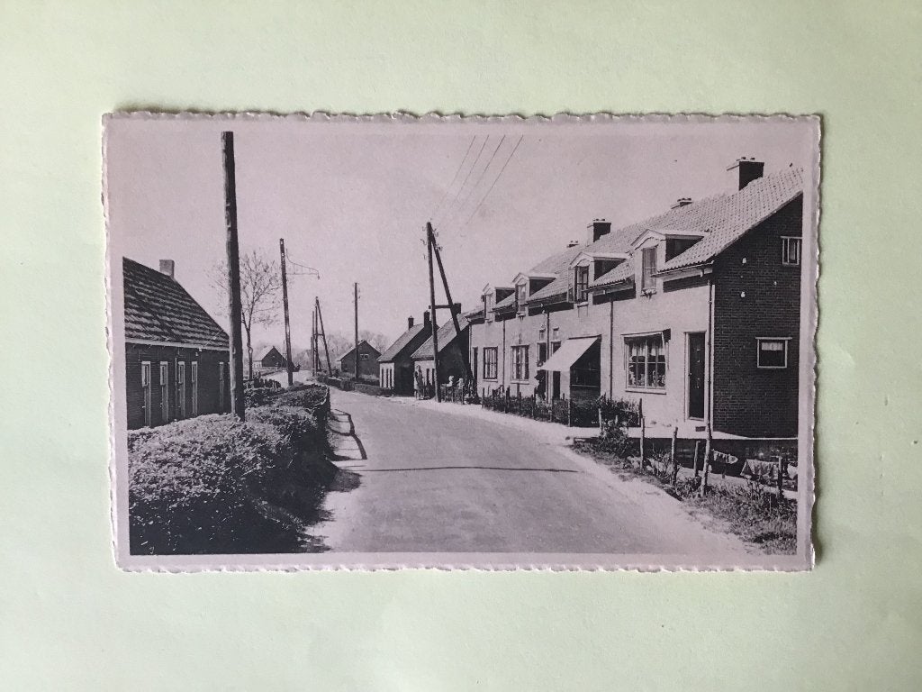 Oude Ansichtkaart Rozenburg Boomendijk ca 1950, Ophalen of Verzenden, 1940 tot 1960, Ongelopen, Zuid-Holland