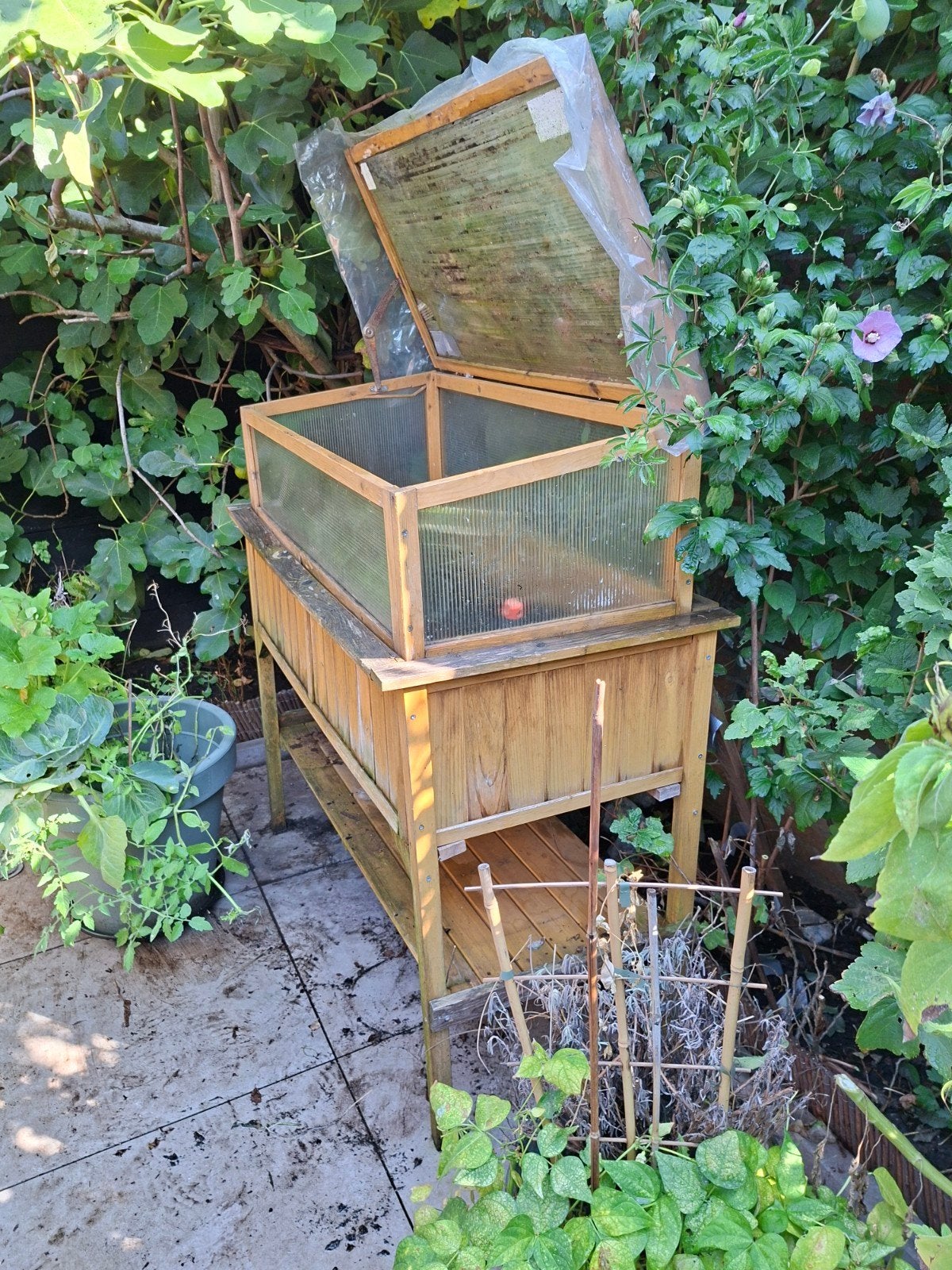 Houten kweekbak met deksel - Ideaal voor moestuin, Tuin en Terras, Ophalen, Gebruikt, Kweekbak