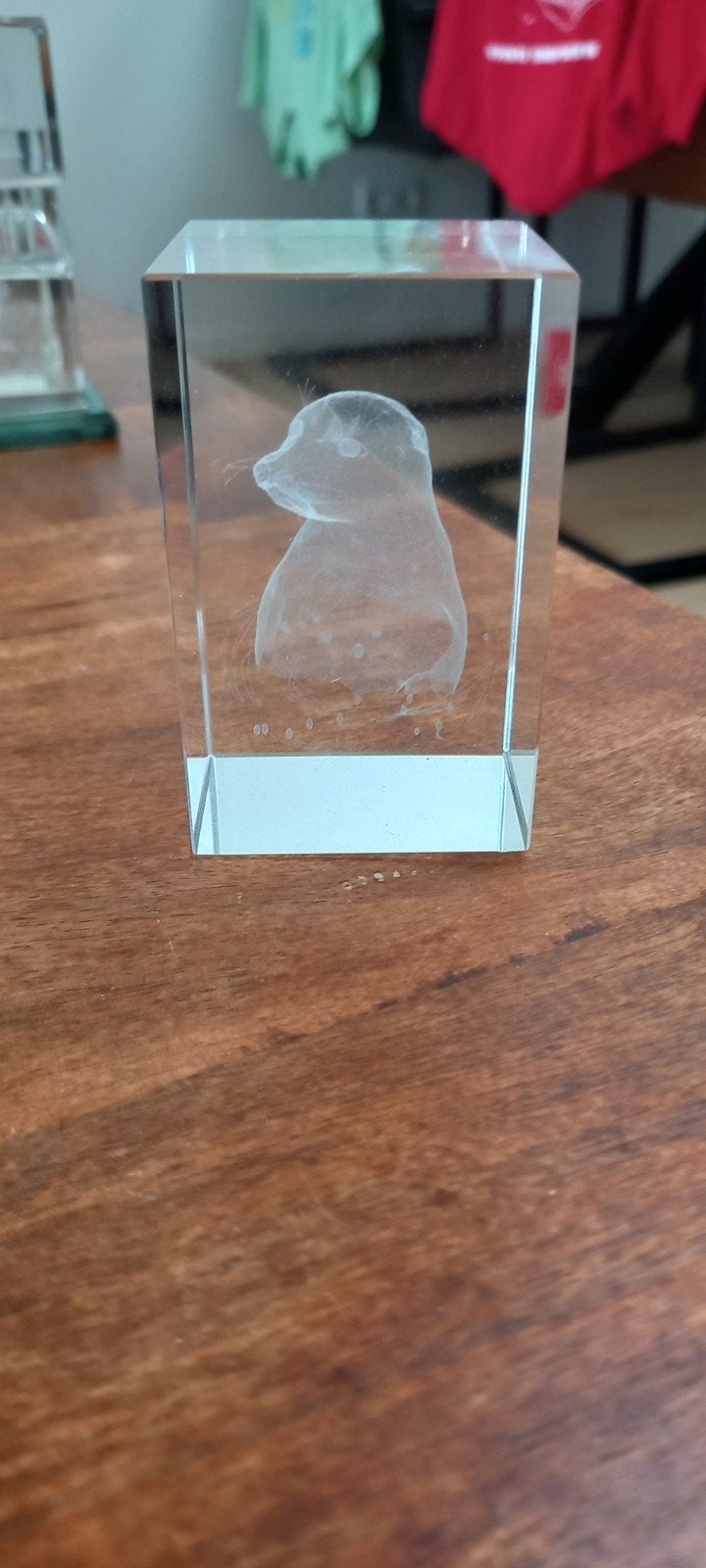Glazen kubus met 3D zeehond laser gravure, Verzamelen, Beelden en Beeldjes, Ophalen of Verzenden, Zo goed als nieuw, Dier