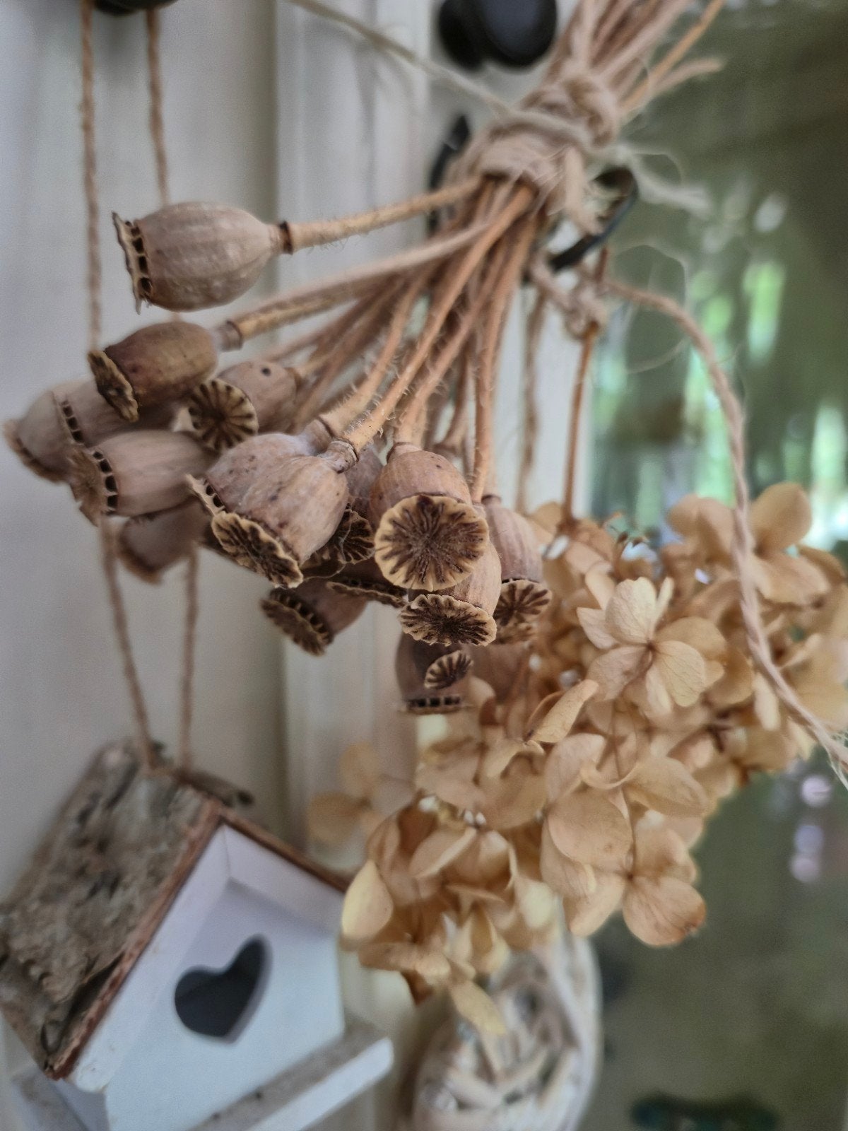 Gedroogde klaproosbollen - Natuurlijke decoratie, Ophalen of Verzenden, Nieuw