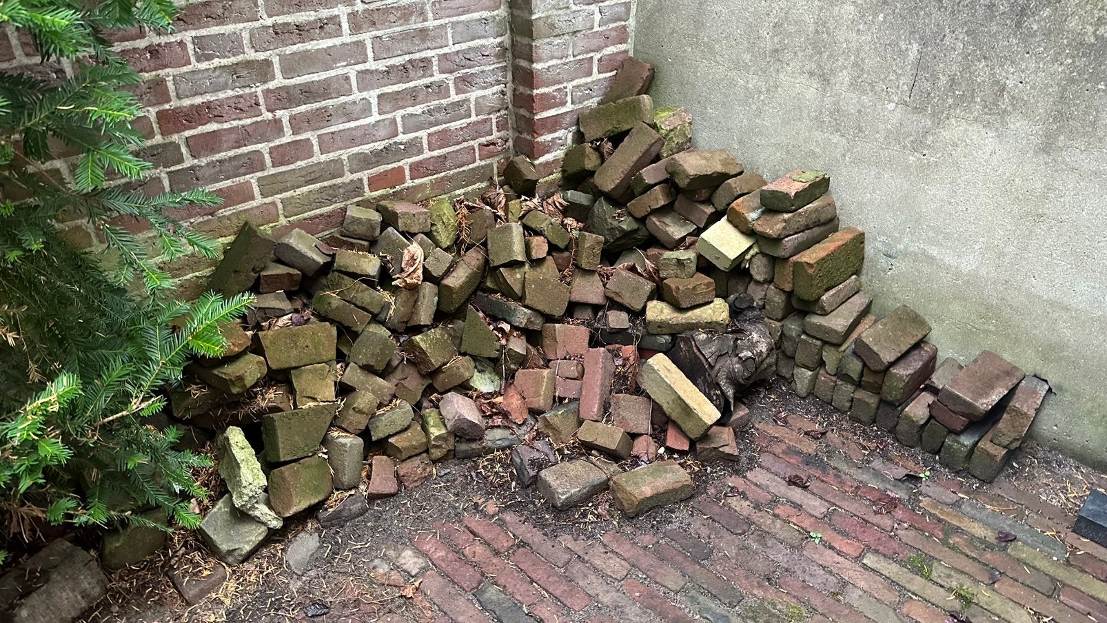 Gratis af te halen (zelf sjouwen ), Ophalen