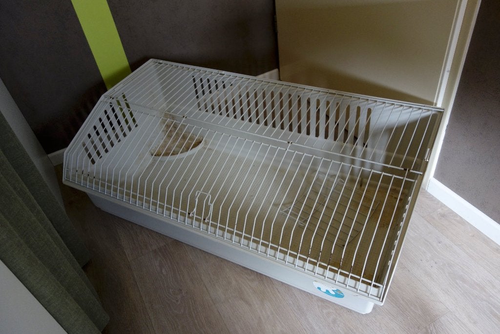 Bak voor konijn / cavia, Dieren en Toebehoren, Ophalen, Gebruikt, Overige typen