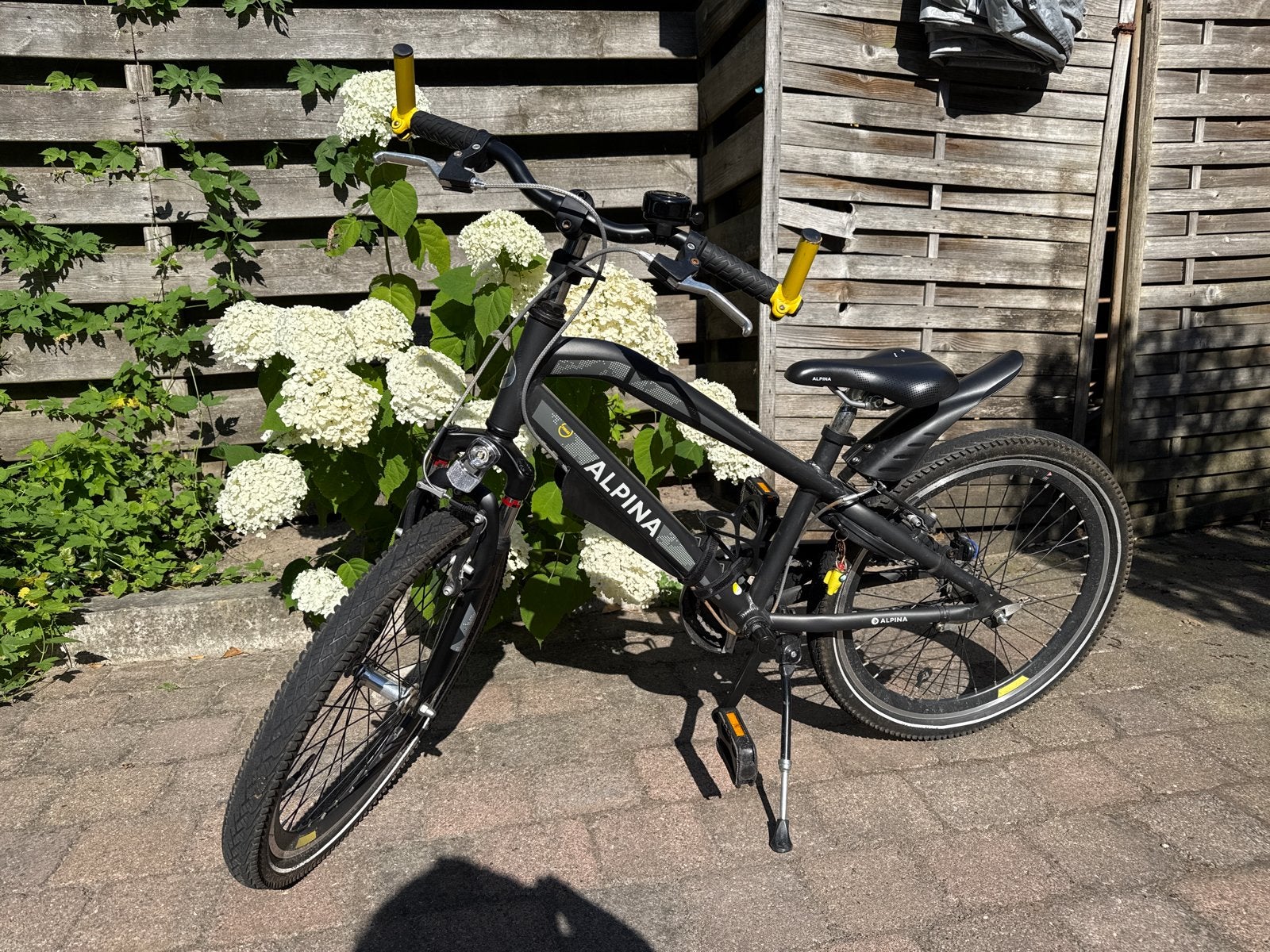Nette Alpina Trial 22 inch kinderfiets, Ophalen, Gebruikt, Terugtraprem, 20 inch of meer