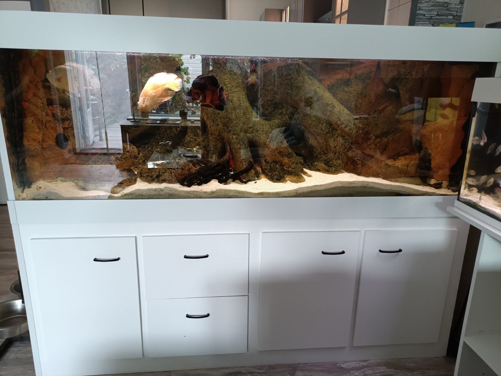 TE KOOP: complete aquarium hobby met alles er op en er aan., Ophalen, Gevuld zoetwateraquarium