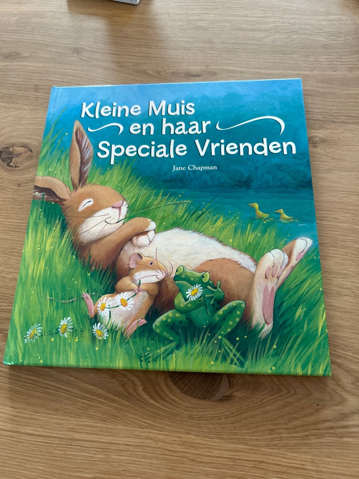 Kinderboek: Kleine Muis en haar Speciale Vrienden, Boeken, Ophalen of Verzenden, Zo goed als nieuw, 2 tot 3 jaar