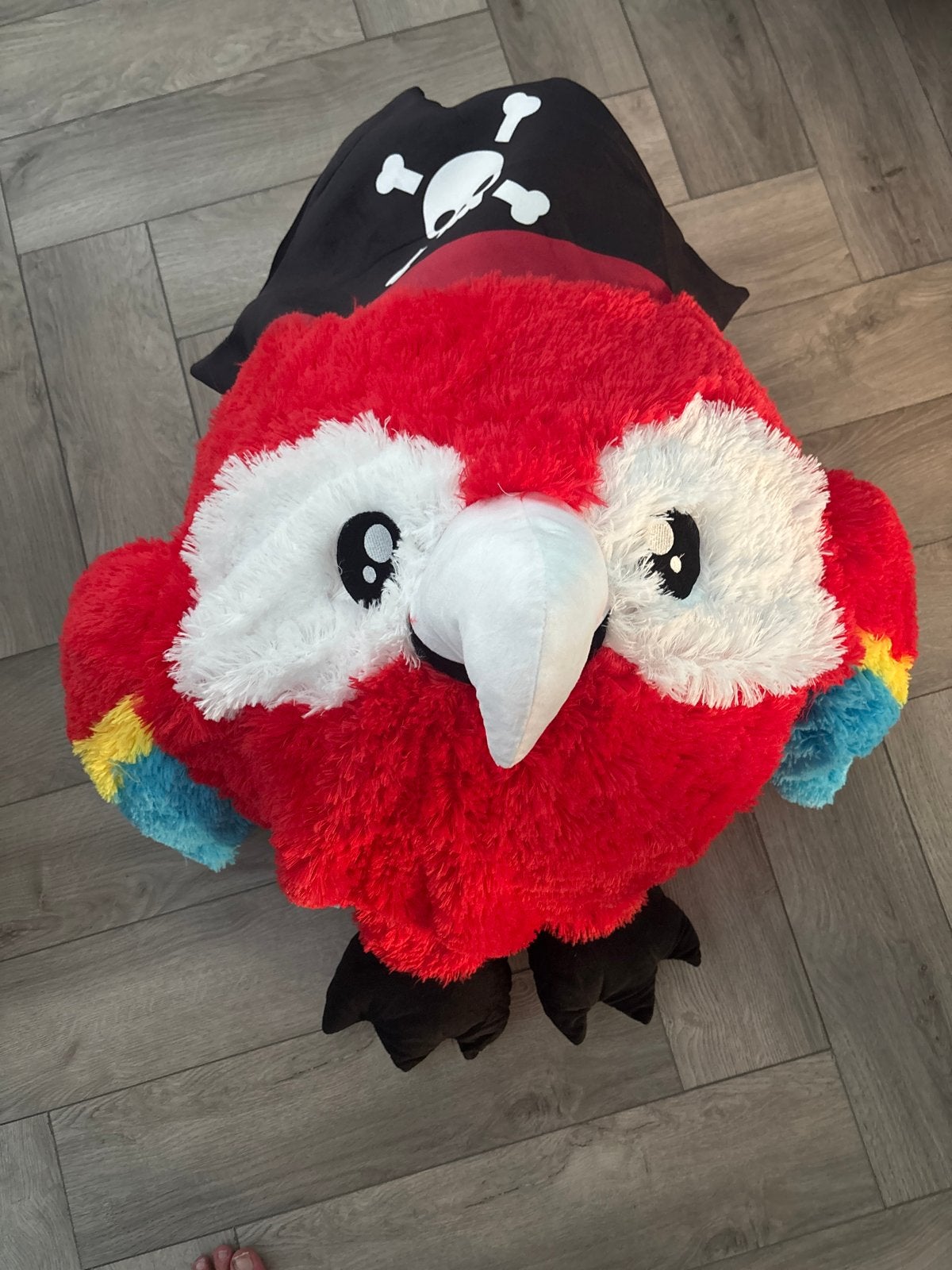 Grote Pluche Papegaai met Piratenhoed - 50cm Diameter, Overige merken, Overige karakters, Overige typen, Ophalen of Verzenden