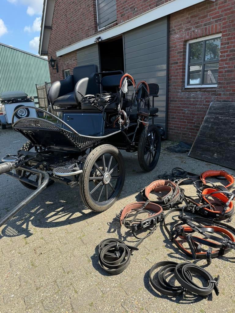Marathonwagen te koop,  merk Excellent, Dieren en Toebehoren, Zo goed als nieuw, Marathonwagen