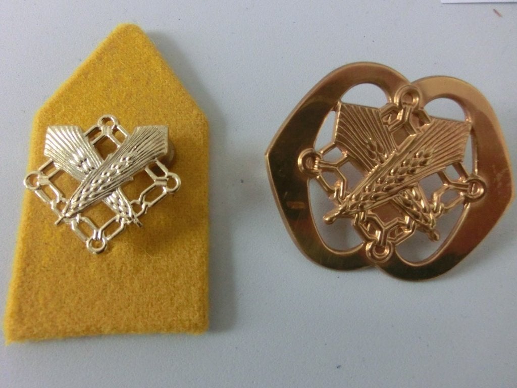 setje Bevo Diensten, Ophalen of Verzenden, Landmacht, Nederland, Embleem of Badge