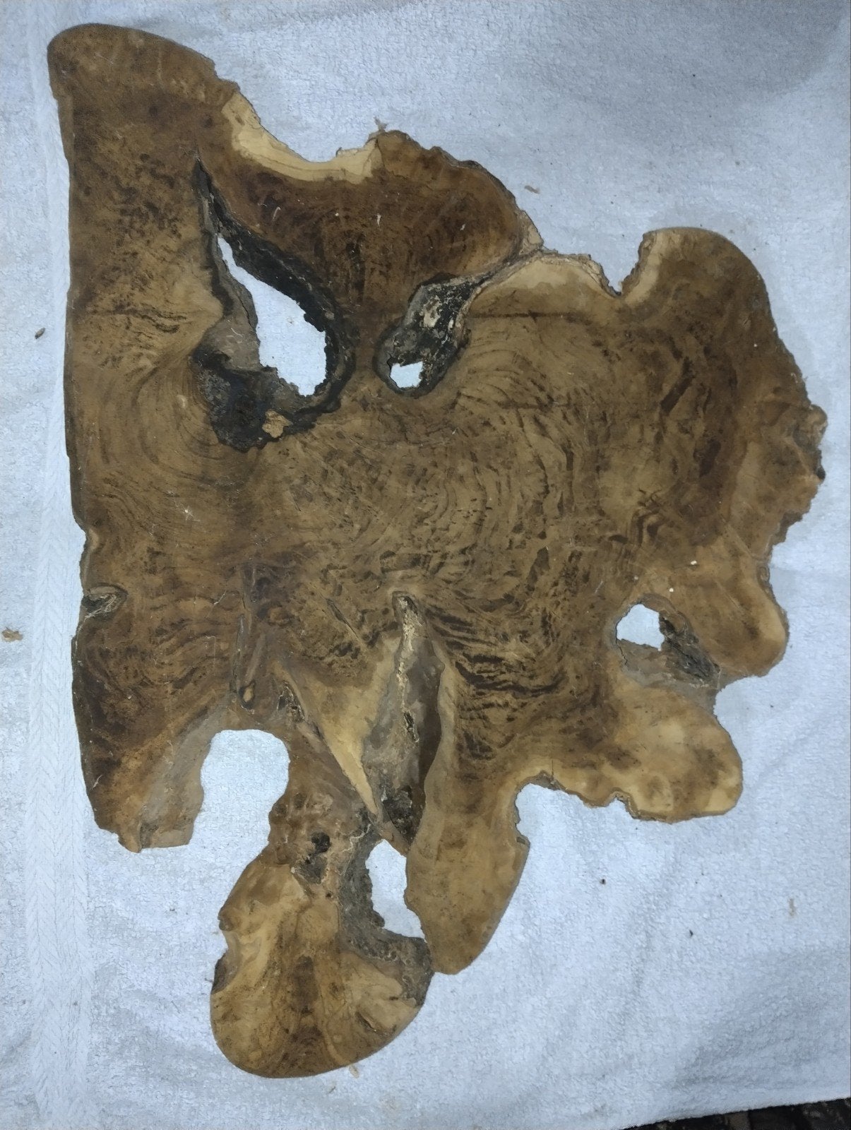 Mooie plak olijfhout 50x35cm, Hout, Snij-/serveerplank, Ophalen of Verzenden, Zo goed als nieuw