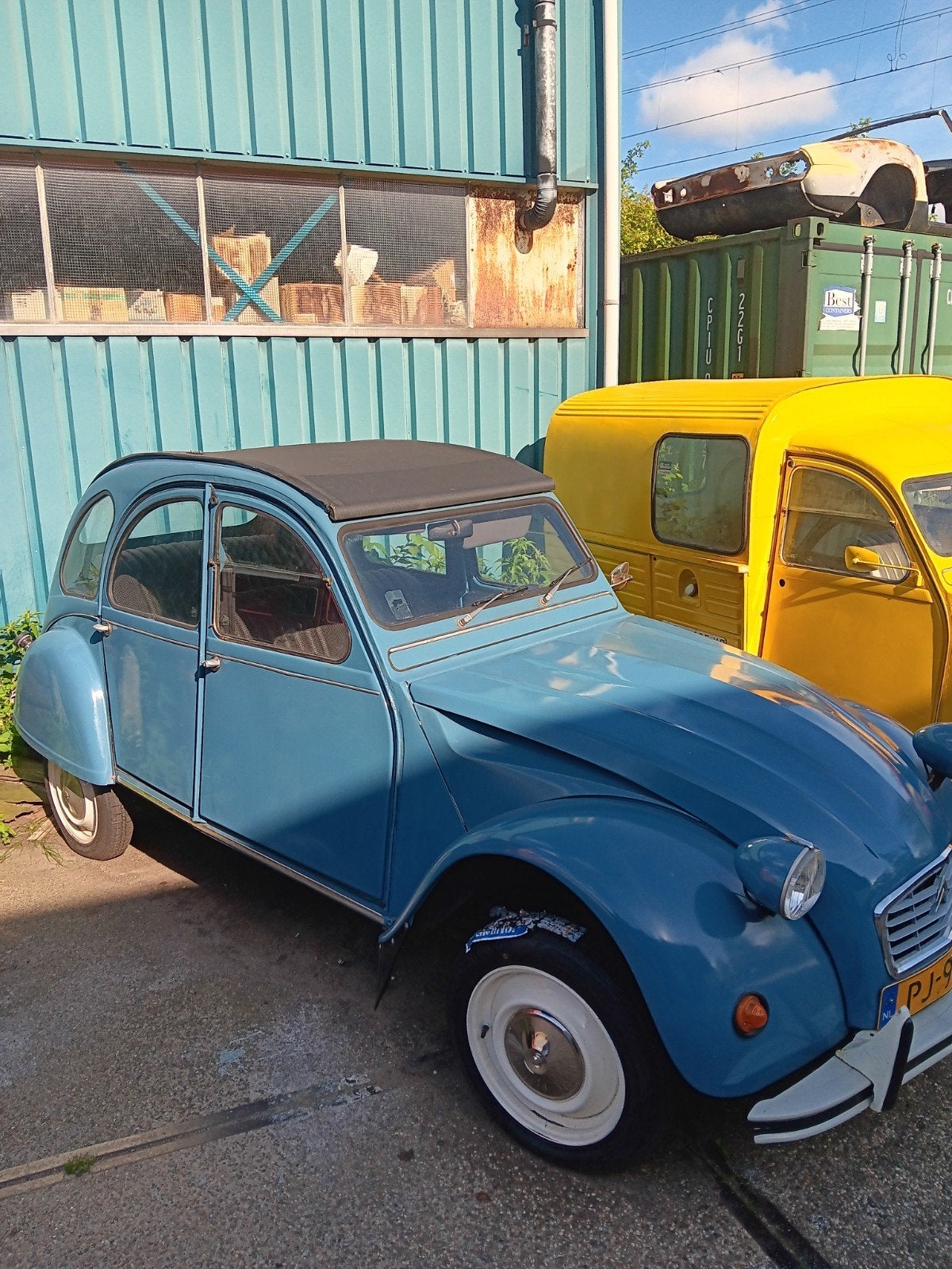 Leuke blauwe eend, Particulier, Te koop