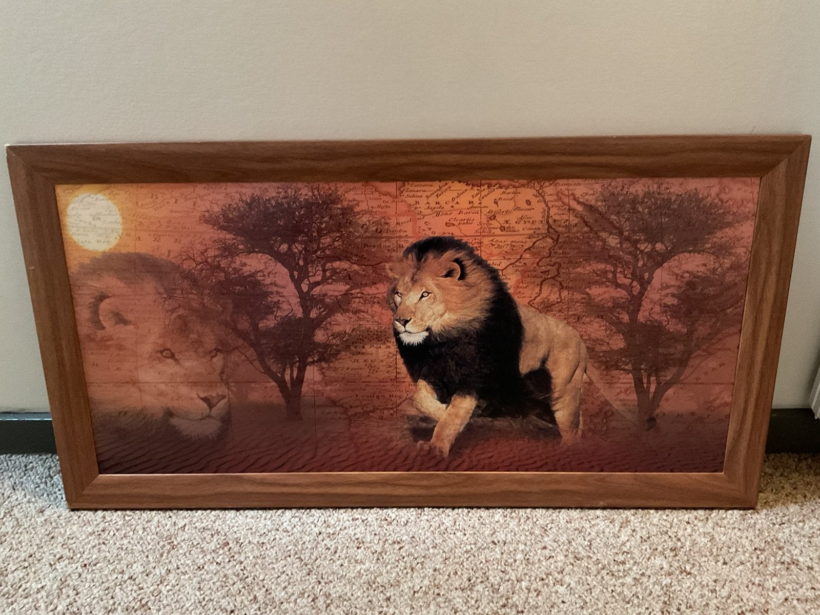 Diverse schilderijen o.a: leeuw,wolf,uil,disney en meer., Ophalen of Verzenden, Zo goed als nieuw, Schilderij