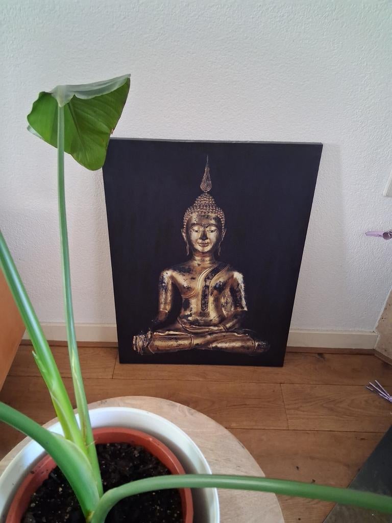 Boeddha doek op hout, Ophalen, Nieuw
