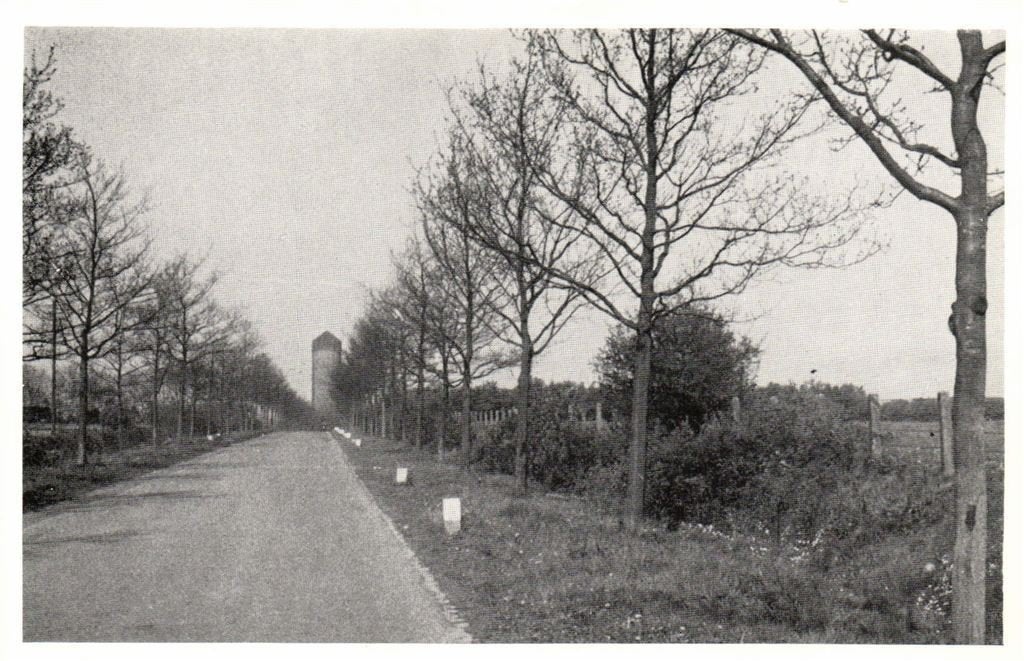 Grindweg Tuk - Steenwijkerwold - watertoren - ongelopen, Verzenden, 1940 tot 1960, Ongelopen, Overijssel