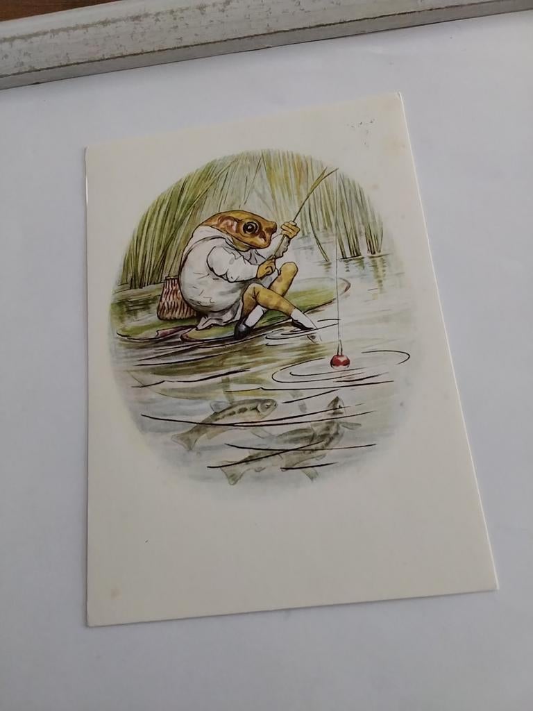 BEATRIX POTTER. 'JEREMIAS HENGELAAR'  1981, Ophalen of Verzenden, 1980 tot heden, Overige thema's