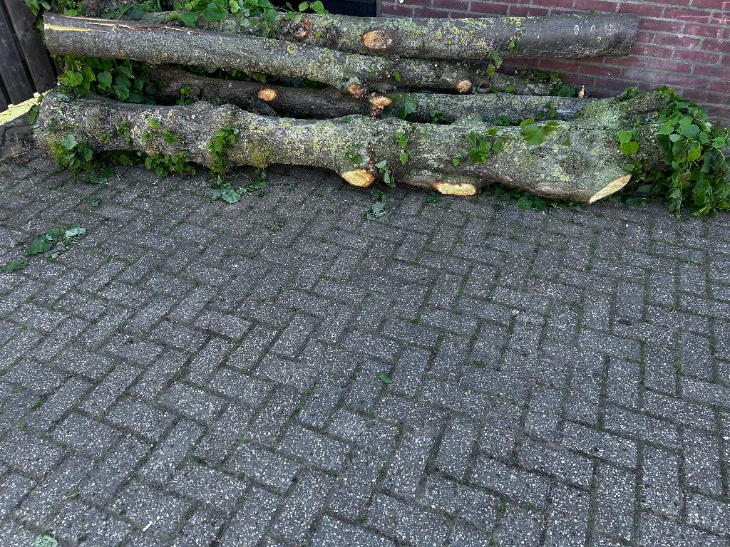 Haardhout kachelhout hout, 6 m³ of meer, Ophalen, Stammen