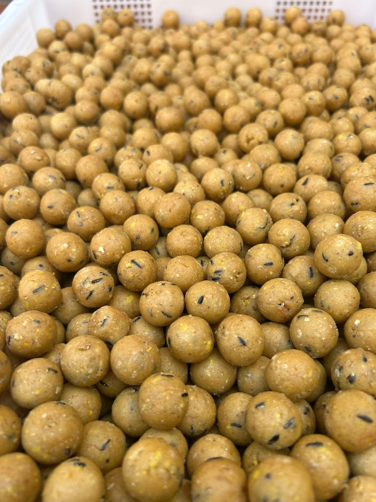 Ultra sweet scopex boilie, Ophalen of Verzenden, Nieuw