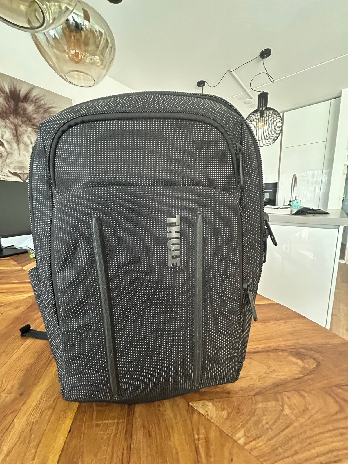 Thule rugzak - Ideaal voor werk of reizen, Sieraden, Tassen en Uiterlijk, 25 tot 40 cm, Ophalen of Verzenden, Zo goed als nieuw