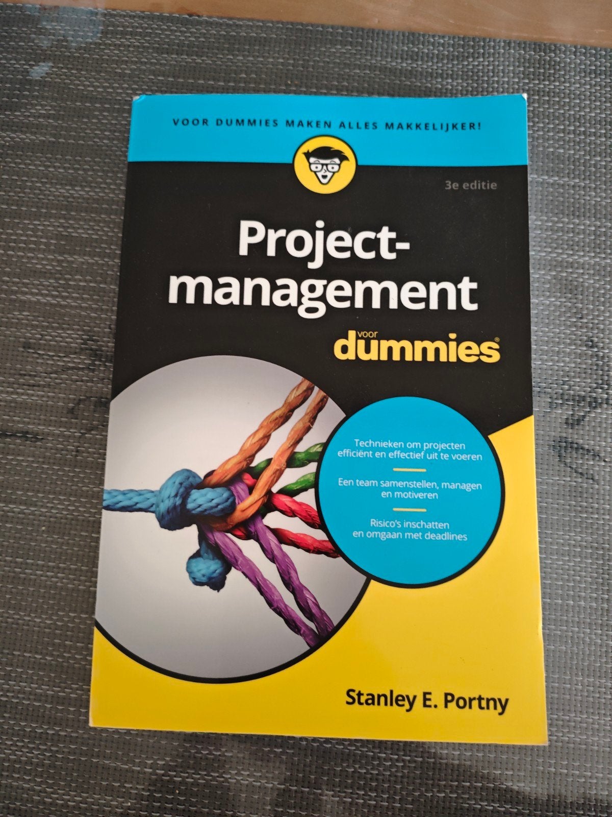 Projectmanagement voor dummies studieboek, Boeken, Ophalen of Verzenden, Beta, Zo goed als nieuw