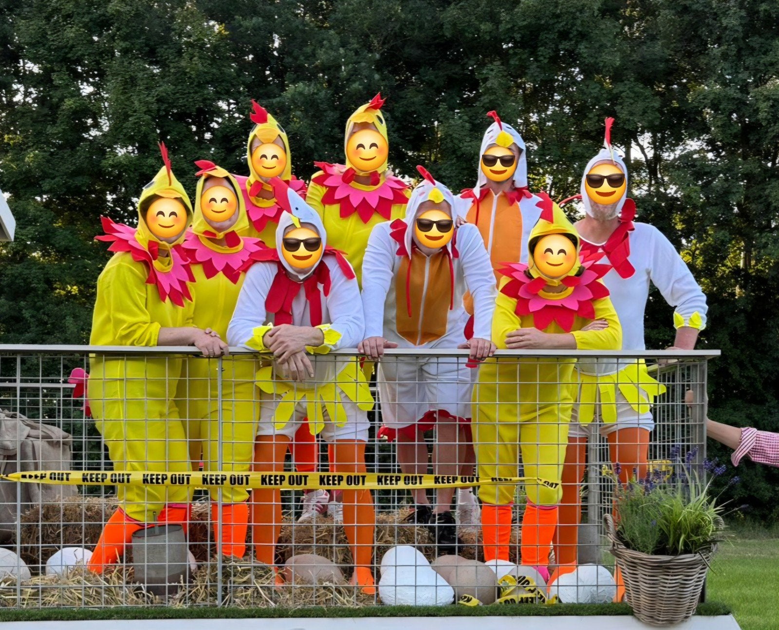 Kippenpakken / Hen Kostuums - Diverse Maten - Loopgroep, Ophalen of Verzenden