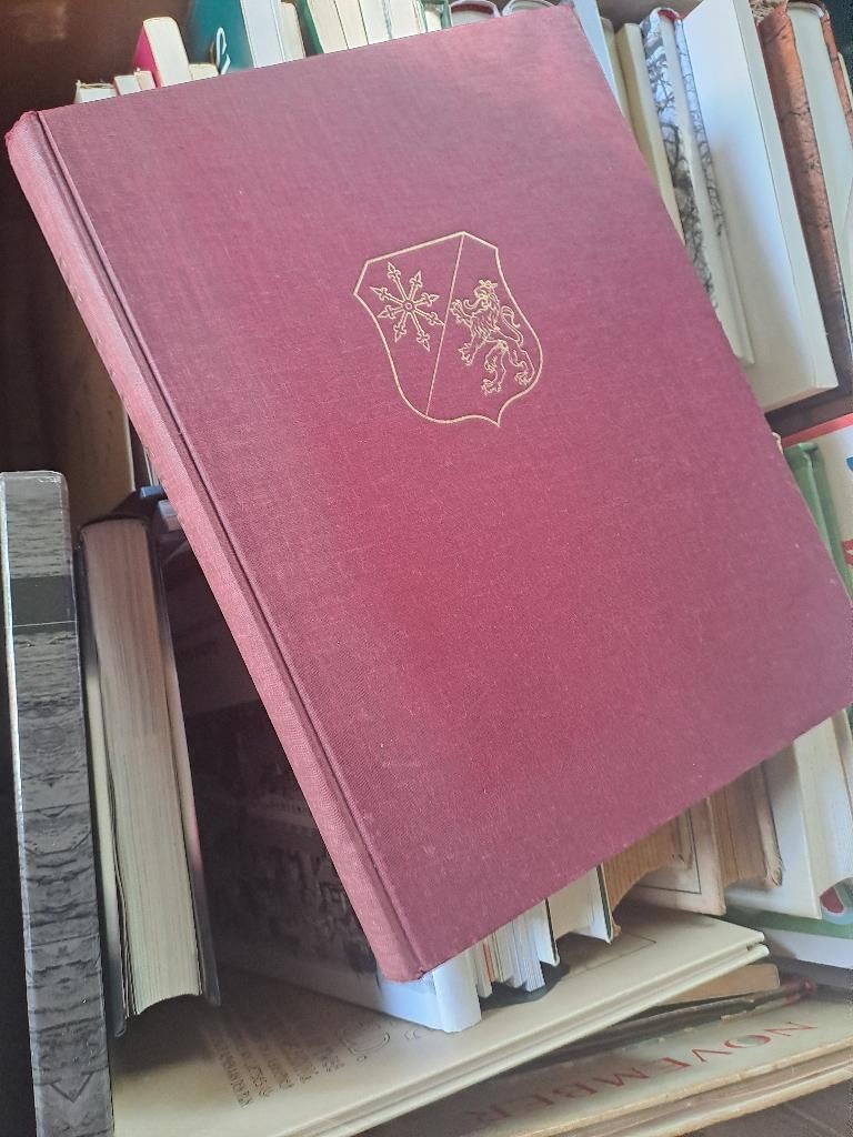 De Liemers. Gedenkboek van Heek, Diverse auteurs, Zo goed als nieuw, Ophalen, 20e eeuw of later