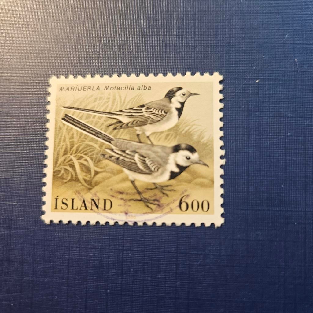 IJsland nr 645, Ophalen of Verzenden, IJsland, Gestempeld
