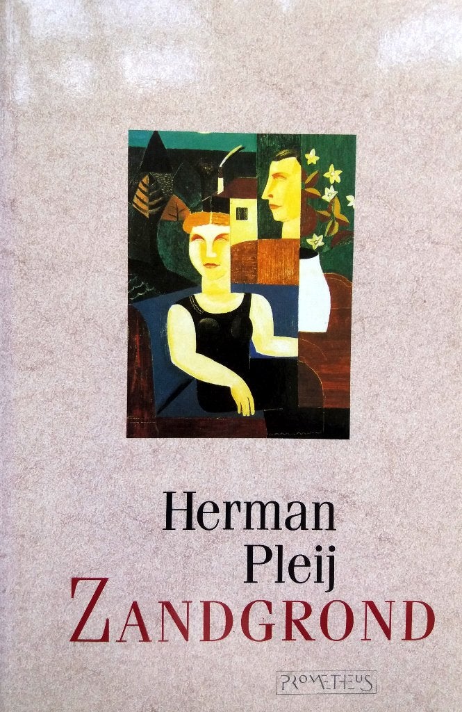 Herman Pleij - Zandgrond, Ophalen of Verzenden, Zo goed als nieuw, Nederland