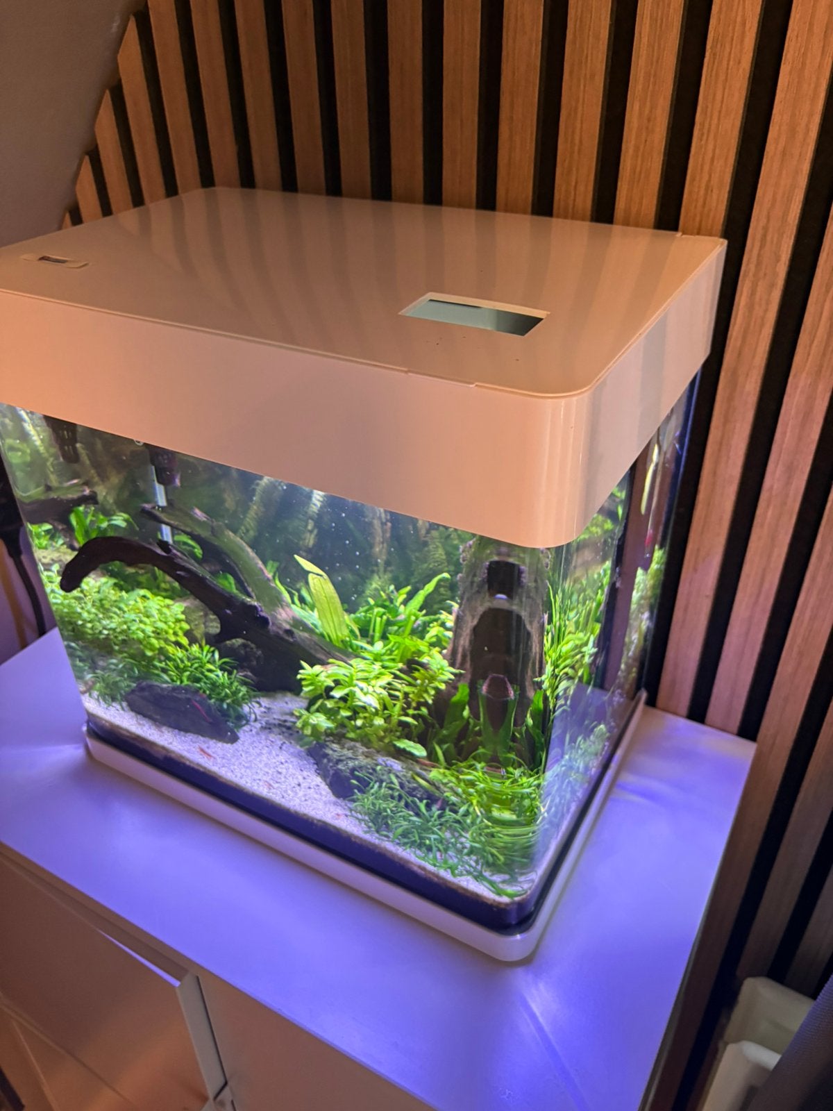 Panorama 35  Aquarium incl inhoud en toebehoren, Ophalen, Gebruikt, Inclusief vissen, Gevuld zoetwateraquarium