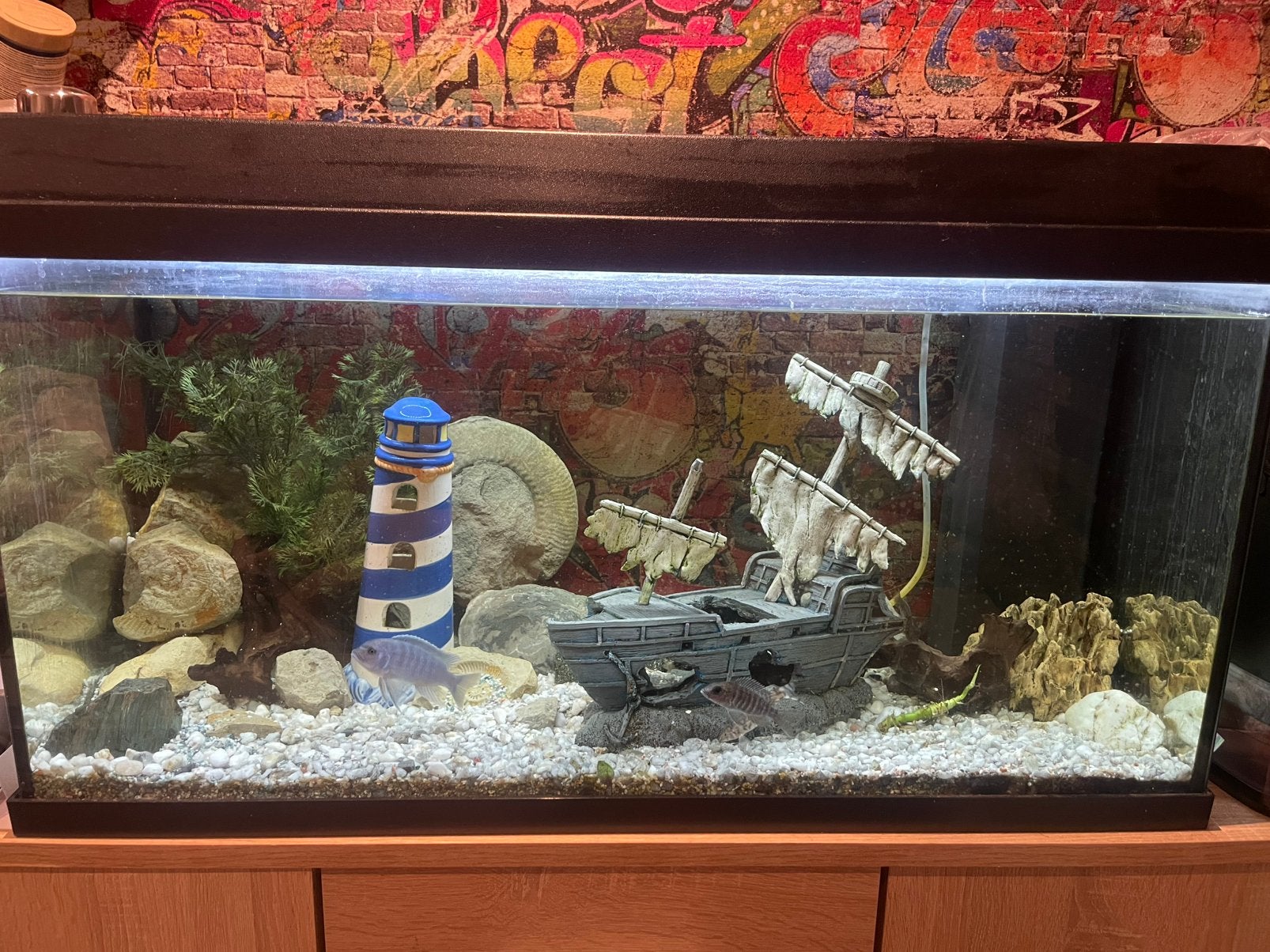 Aquarium juwel 110 liter, Dieren en Toebehoren, Vissen | Aquaria en Toebehoren, Ophalen, Zo goed als nieuw, Gevuld zoetwateraquarium