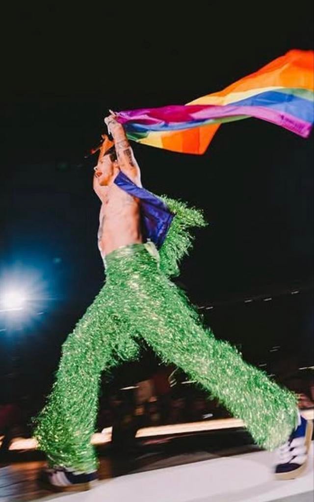 2 staplaatsen voor concert Harry Styles 29 mei, Tickets en Kaartjes, Concerten | Overige, Twee personen, Mei