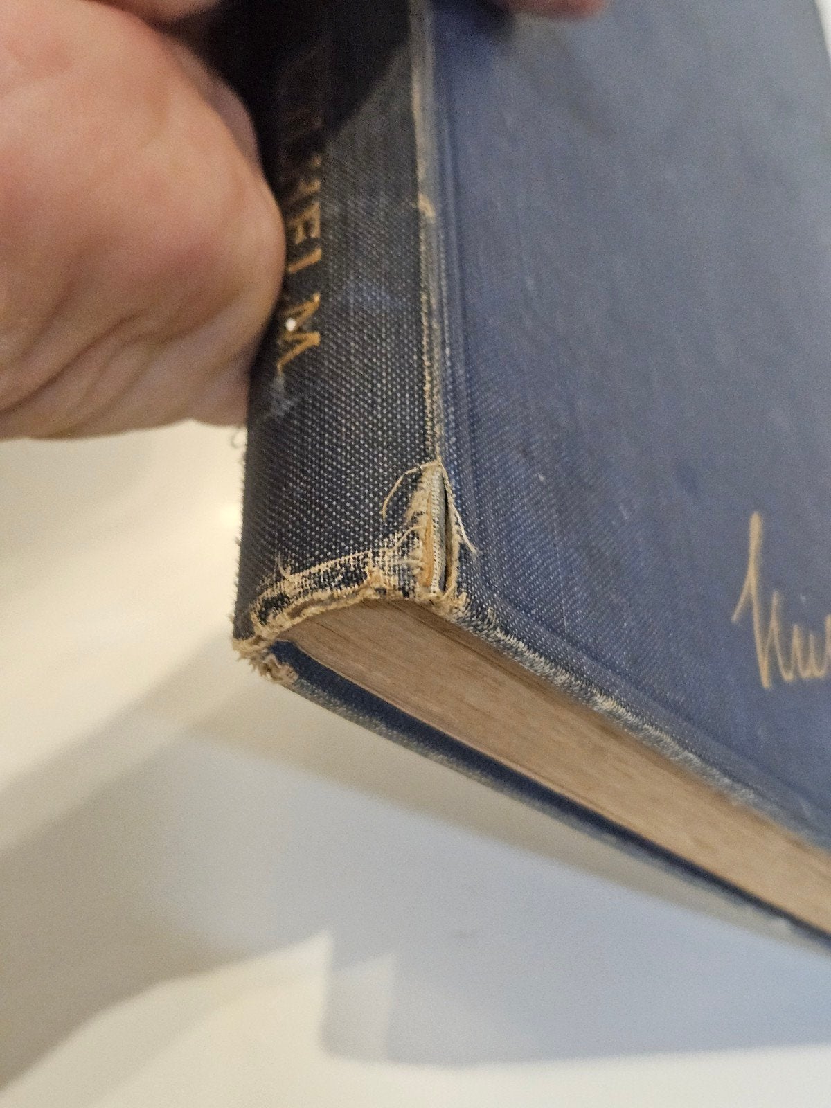 Zeldzaam antiek boek Memoires van kroonprins Wilhelm 1921, Karl Rosner, Verzenden, 20e eeuw of later, Gelezen