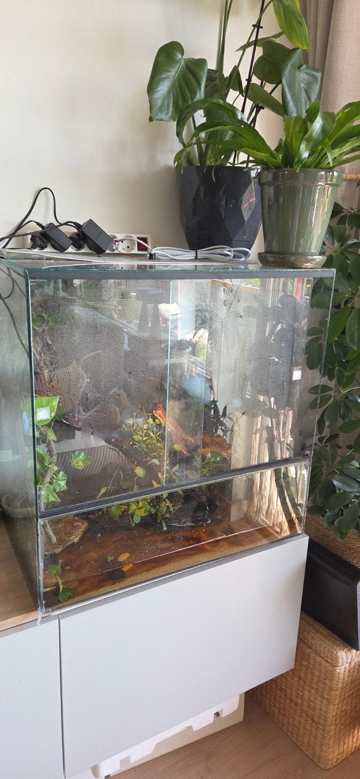 Paludarium, Dieren en Toebehoren, Ophalen