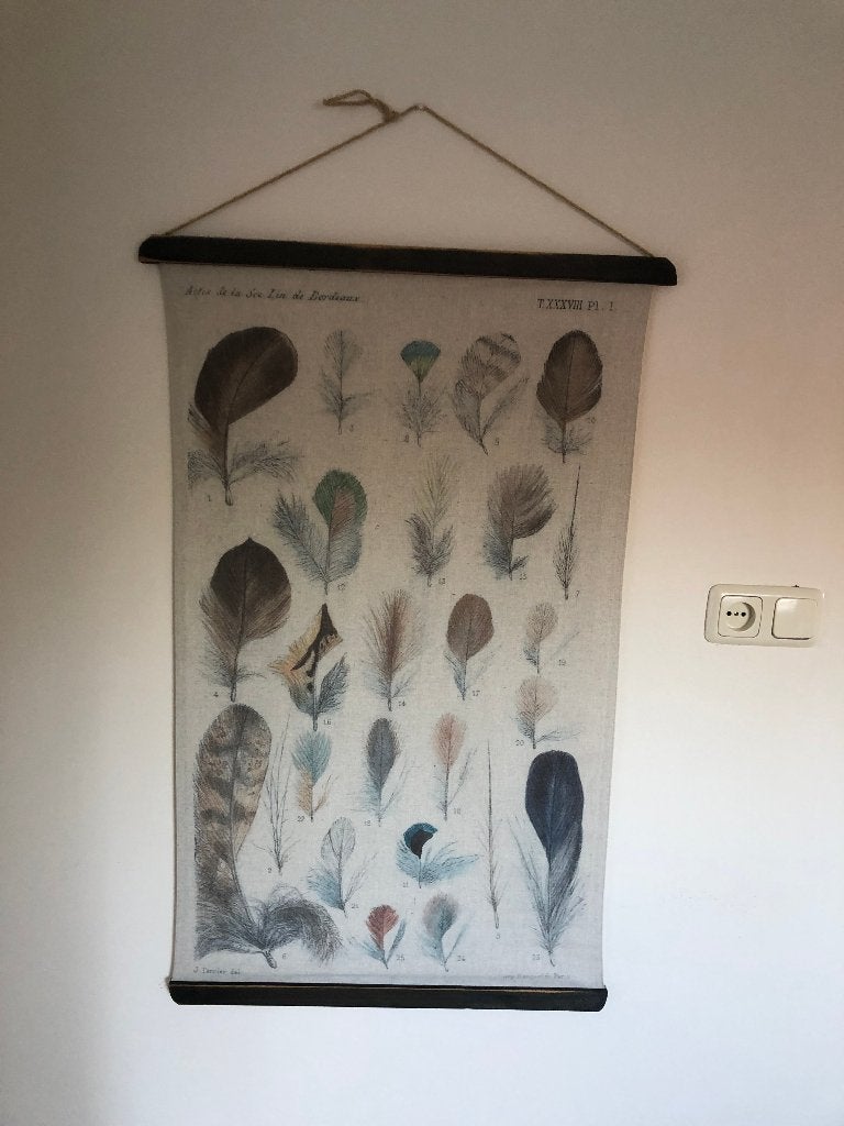 Wandkleed met verenprint - Natuurlijke decoratie, Antiek en Kunst, Ophalen of Verzenden, Natuur en Biologie